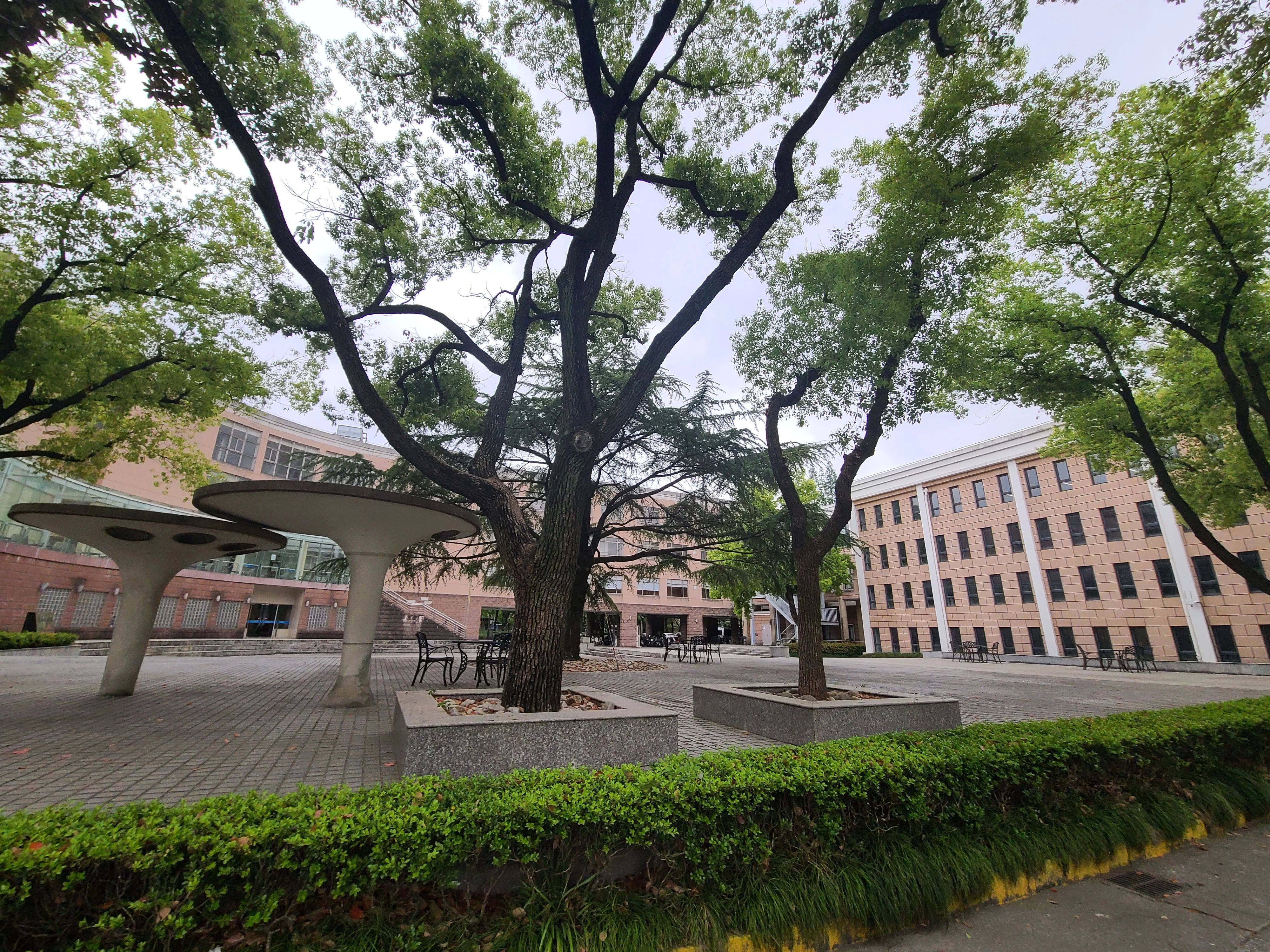 上财校园