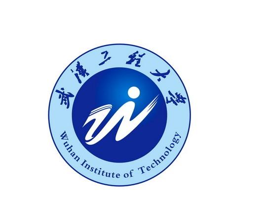 武汉工程大学